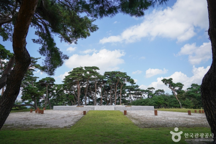 경주 나정 여행 추천 - 메고지고