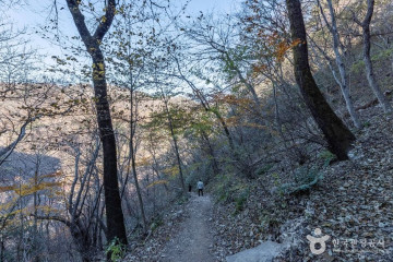 내장산국립공원 여행 추천 - 메고지고