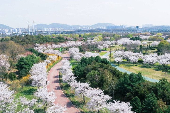수도권매립지 드림파크 야생화단지 여행 추천 - 메고지고