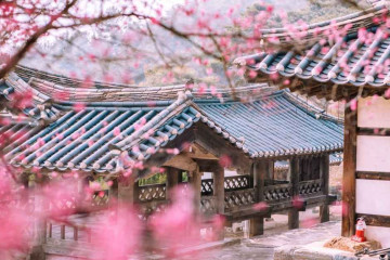 노강서원(논산) 여행 추천 - 메고지고