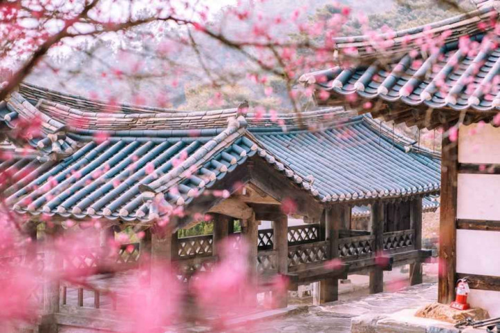 종학당 여행 추천 - 메고지고