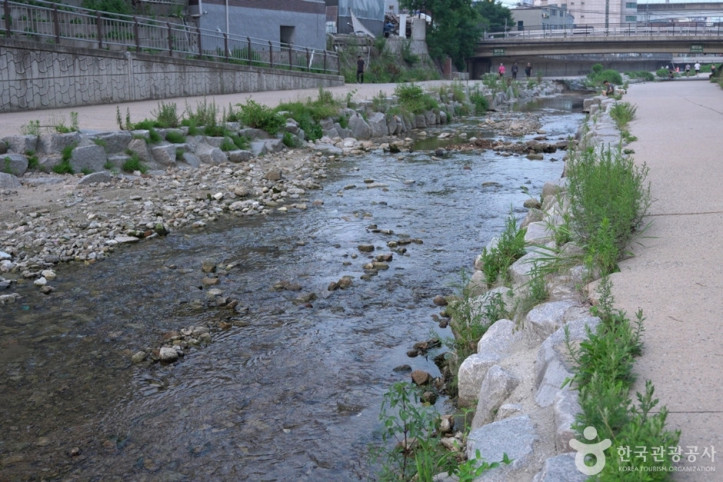 안골계곡 여행 추천 - 메고지고