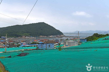 완도 묘당도 이충무공 유적 여행 추천 - 메고지고