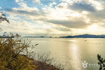 완도수목원 여행 추천 - 메고지고