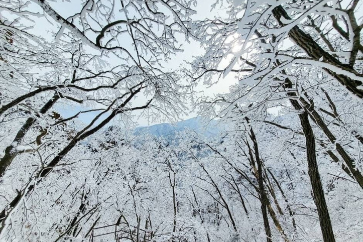 설악산 흘림골 여행 추천 - 메고지고