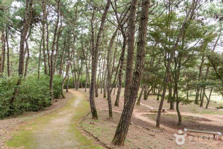 익산 쌍릉 여행 추천 - 메고지고