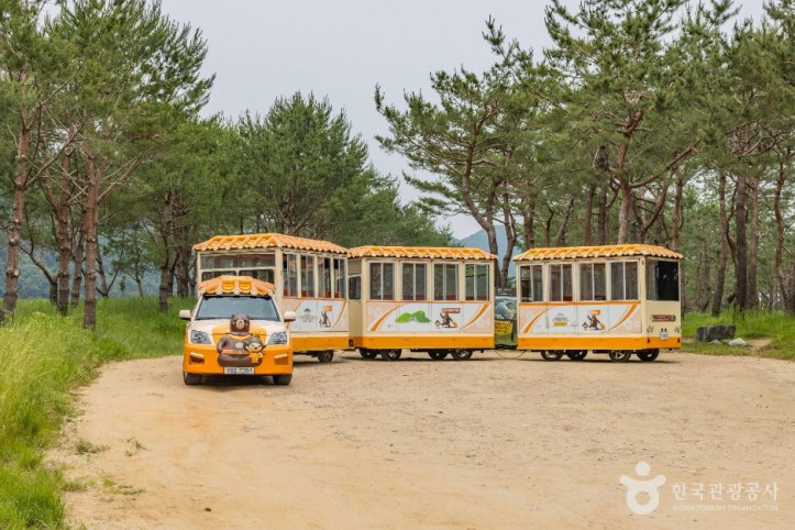고마열차 여행 추천 - 메고지고