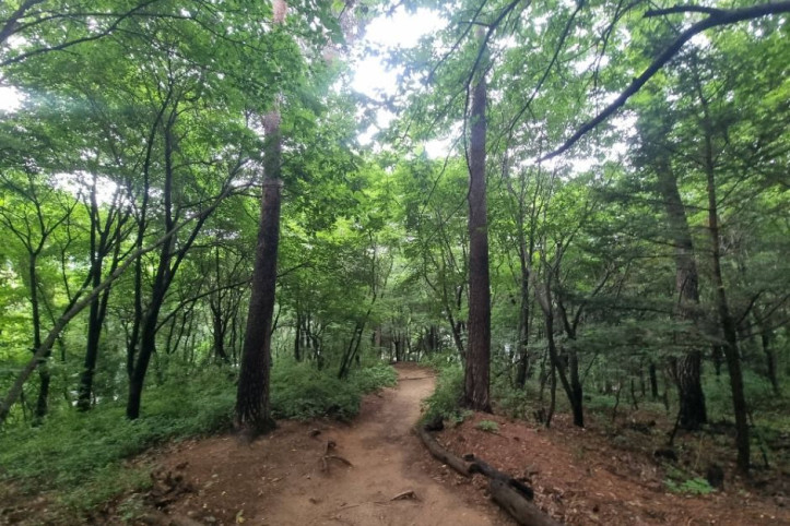 [서울둘레길 17코스] 북한산 은평코스 여행 추천 - 메고지고