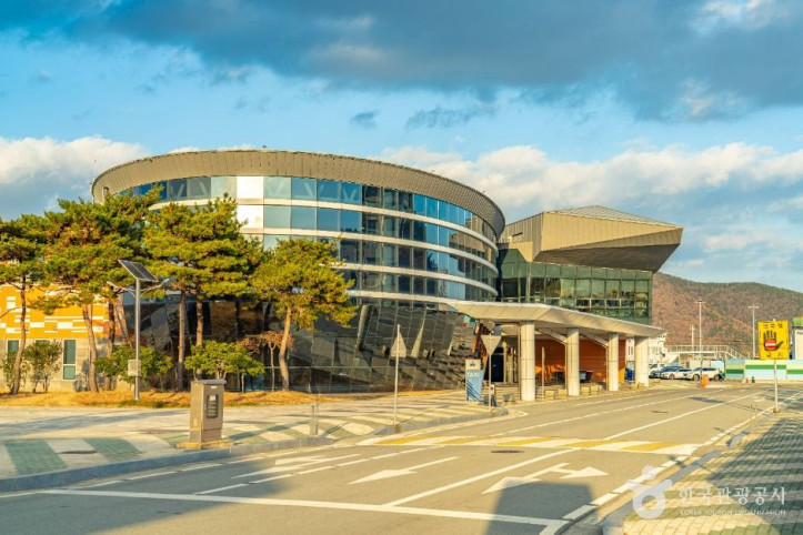 완도항 여행 추천 - 메고지고