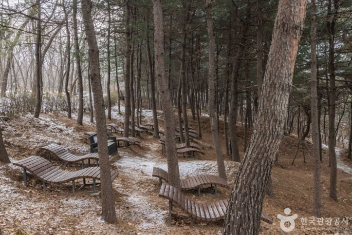 초안산 여행 추천 - 메고지고