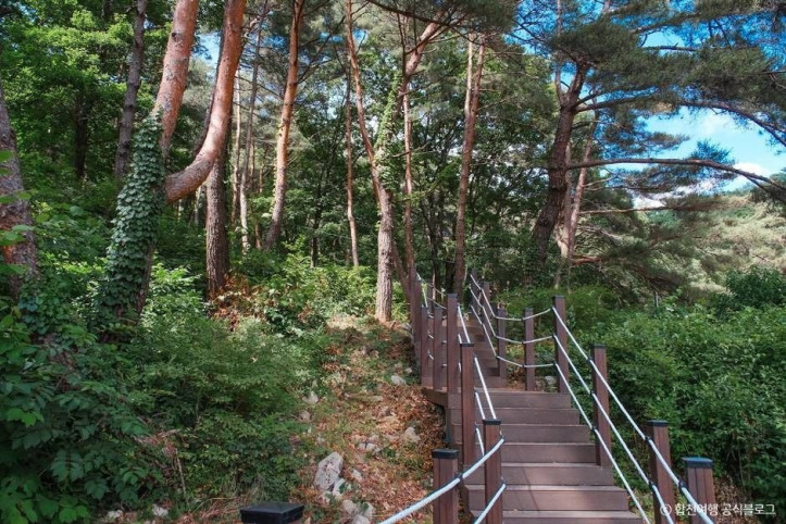 오도산자연휴양림 여행 추천 - 메고지고