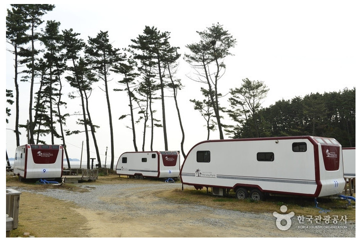 블루오션리조트 여행 추천 - 메고지고
