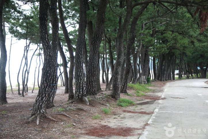 궁촌해변(궁촌해수욕장) 여행 추천 - 메고지고