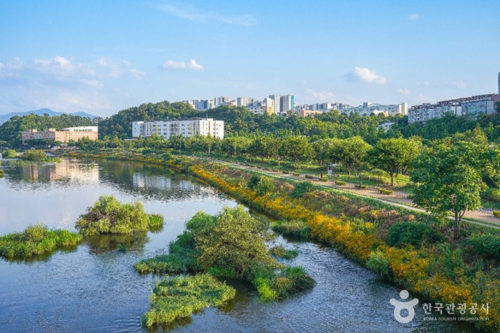 공항교강변공원 여행 추천 - 메고지고