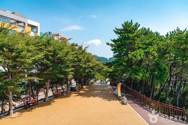 해운대 달맞이길 여행 추천 - 메고지고