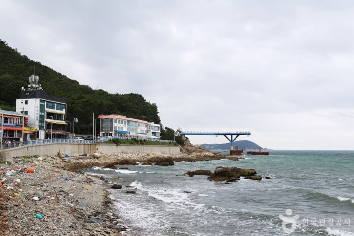 청사포 횟집촌 여행 추천 - 메고지고