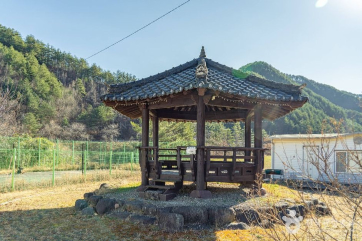 삼척 가시오가피마을 여행 추천 - 메고지고