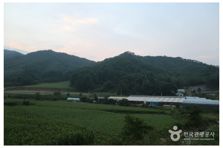 백덕산(영월) 여행 추천 - 메고지고