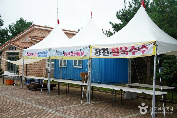 홍천 무궁화마을 여행 추천 - 메고지고