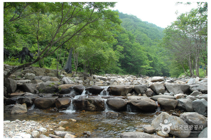 만산동계곡 여행 추천 - 메고지고