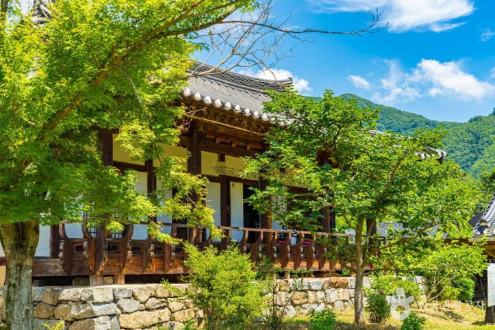 농암종택 여행 추천 - 메고지고