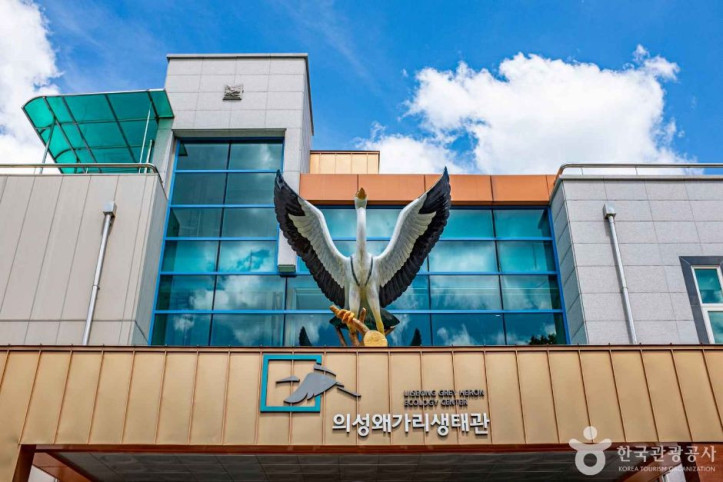 의성 왜가리생태마을 여행 추천 - 메고지고