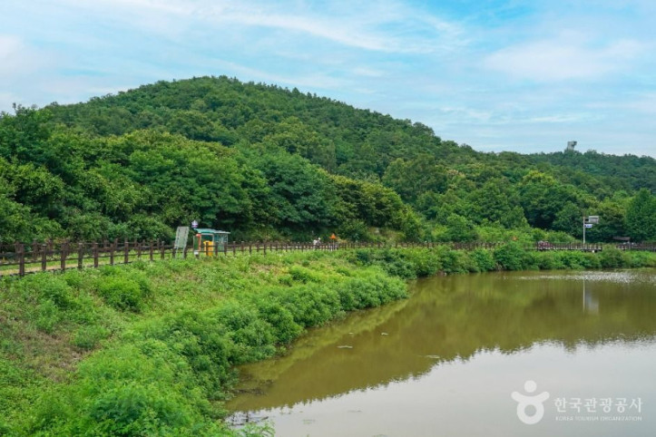 창평지 친환경 생태공원 여행 추천 - 메고지고