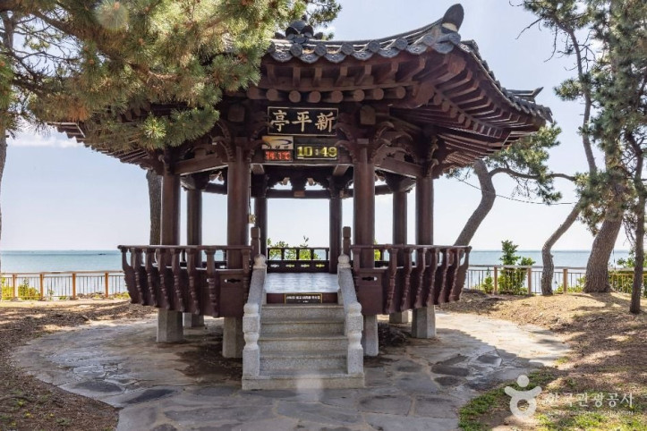 신평소공원 여행 추천 - 메고지고