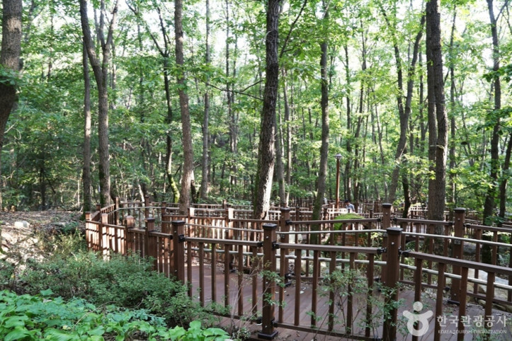 삼성산산림욕장 여행 추천 - 메고지고