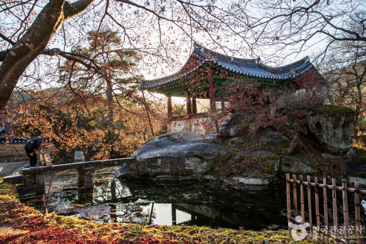 봉화 청암정 여행 추천 - 메고지고