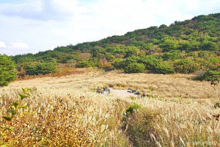 재약산 여행 추천 - 메고지고
