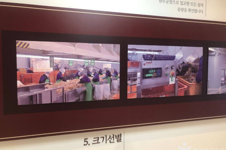 KGC인삼공사 원주공장 여행 추천 - 메고지고