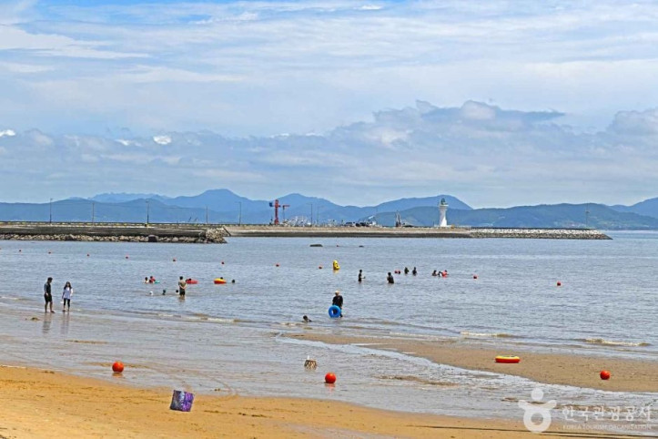 율포해수욕장(솔밭해변) 여행 추천 - 메고지고