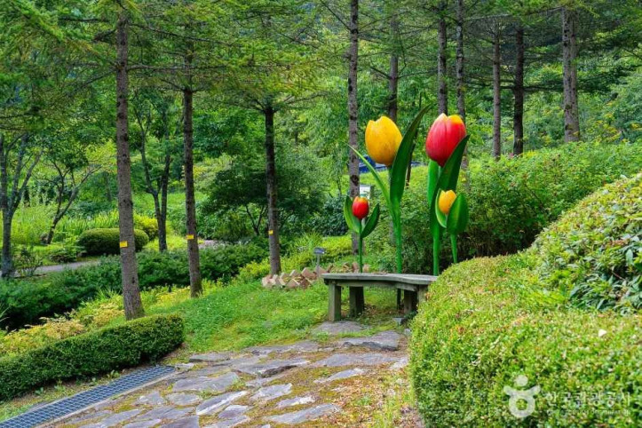 백두대간 생태수목원 여행 추천 - 메고지고
