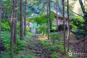 동백호수공원 여행 추천 - 메고지고