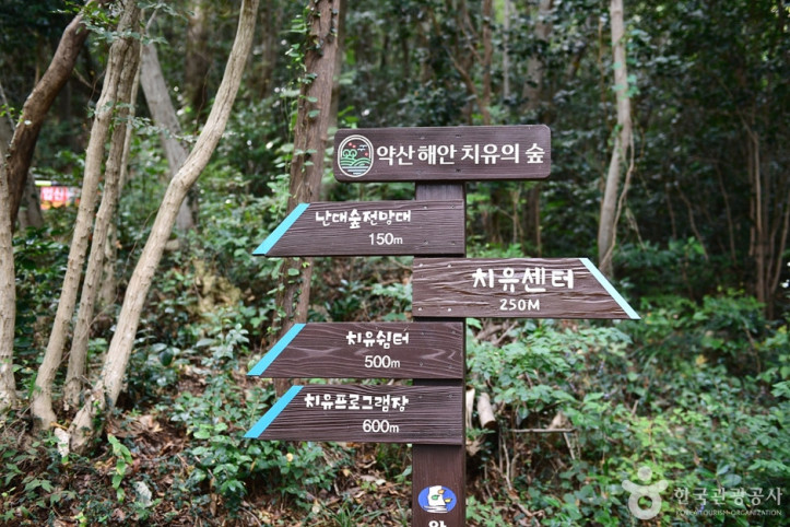 약산해안 치유의숲 여행 추천 - 메고지고