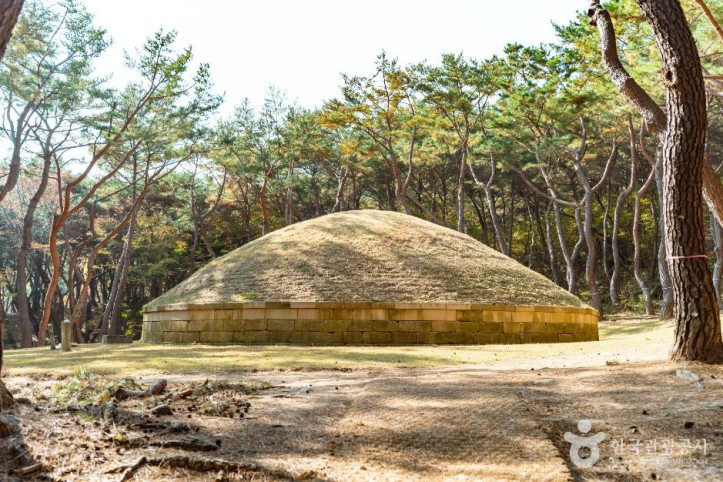 경주 정강왕릉 여행 추천 - 메고지고