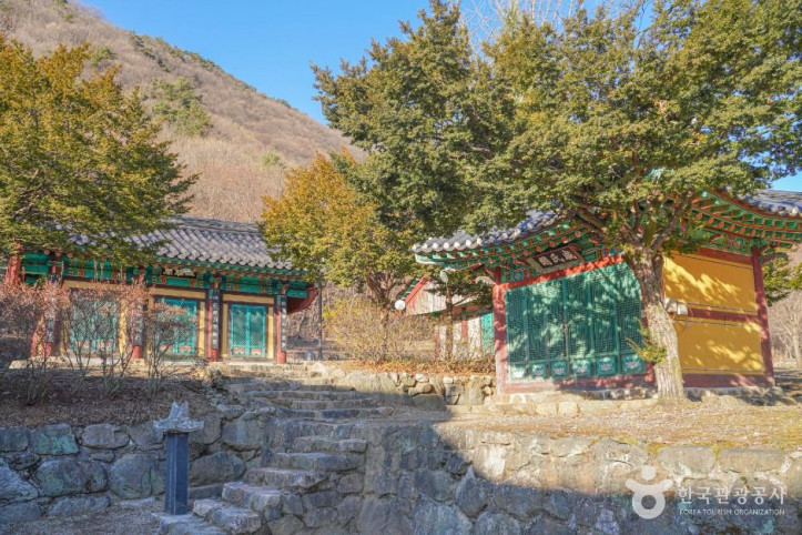 사나사(양평) 여행 추천 - 메고지고