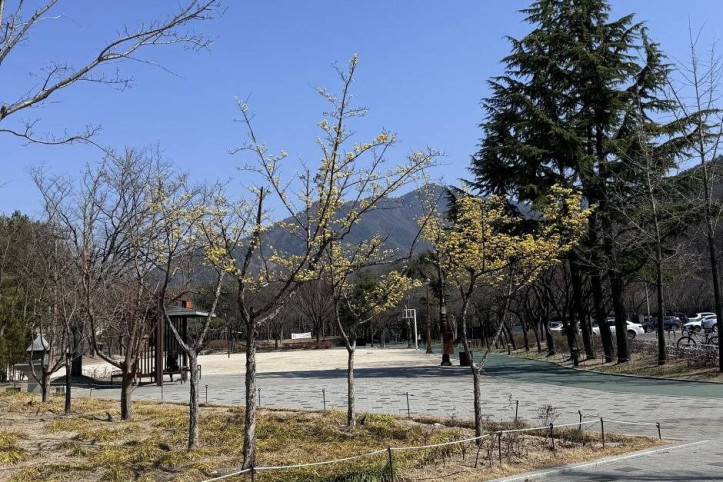 월광수변공원 여행 추천 - 메고지고