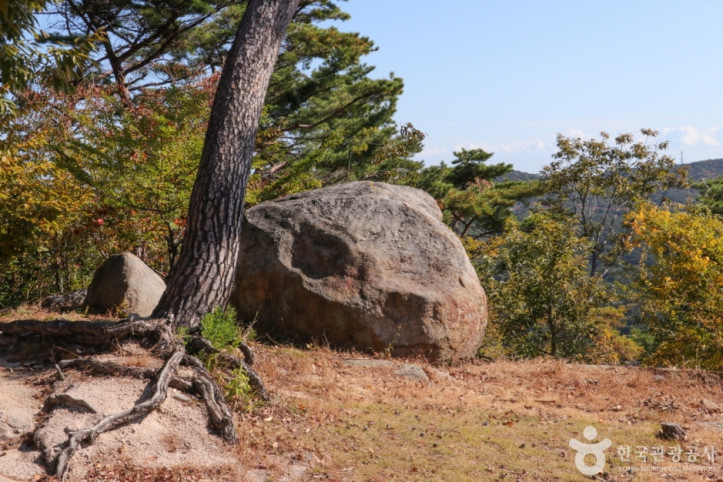 동축사 여행 추천 - 메고지고