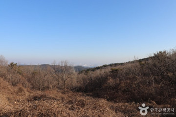 개들랜드 여행 추천 - 메고지고
