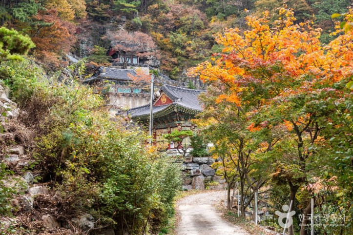계승사(고성) 여행 추천 - 메고지고