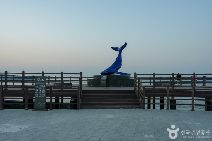 영흥도 하늘고래전망대 여행 추천 - 메고지고