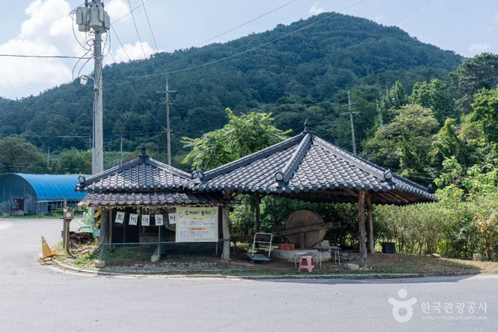 찬샘마을 여행 추천 - 메고지고