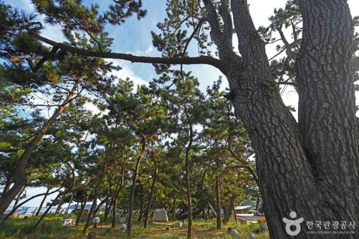 해리마을 여행 추천 - 메고지고