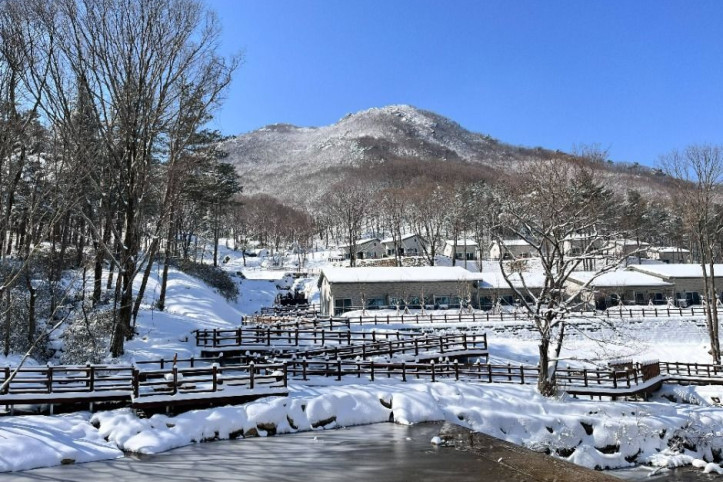 국립진안고원산림치유원(국립지덕권산림치유원) 여행 추천 - 메고지고