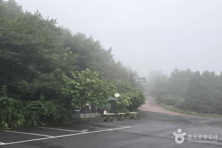 거린사슴 여행 추천 - 메고지고