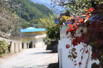 금대암 여행 추천 - 메고지고