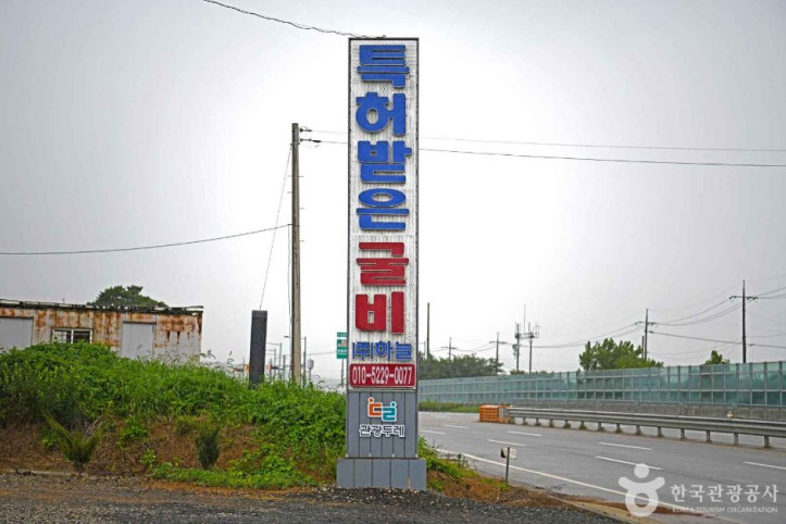 주식회사 하늘 여행 추천 - 메고지고