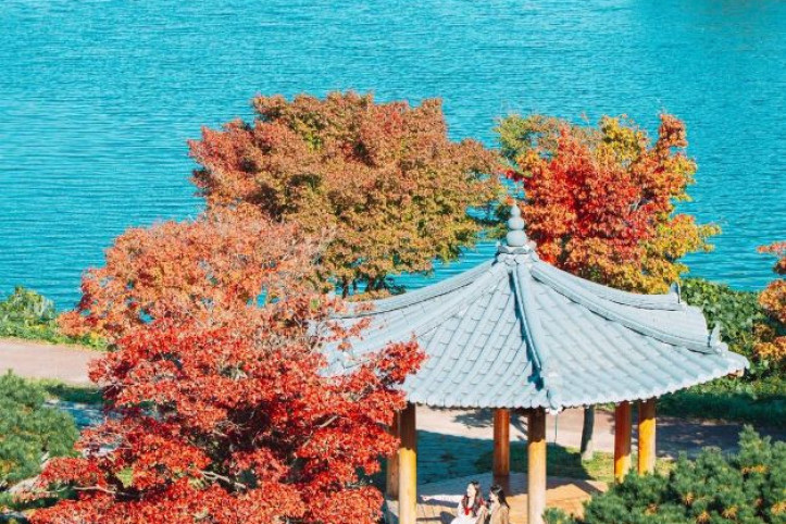 내장산조각공원 여행 추천 - 메고지고